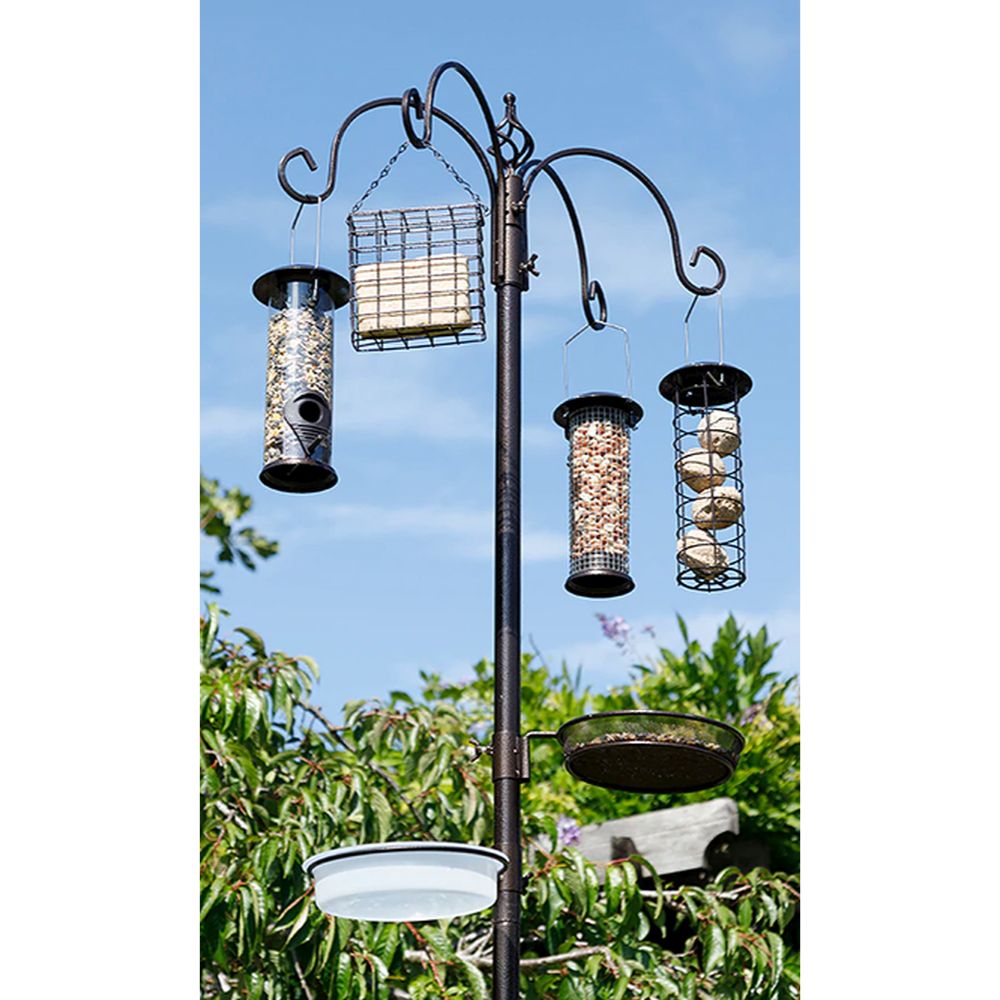 Jester Deluxe Bird Feeding Station w/Feeders Brown